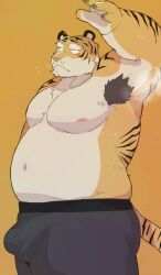 2024 anthro armpit_hair arufina_w belly blush body_hair bulge clothing felid hi_res kemono male mammal moobs musk navel nipples overweight overweight_male pantherine simple_background solo tiger underwear