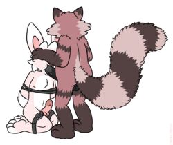 bondage bondage bound fellatio lagomorph lewdzilla male mammal oral rabbit raccoon sex