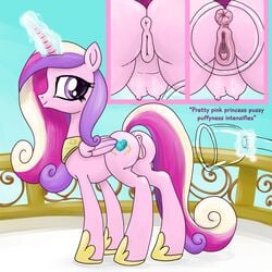 anus crotchboobs female friendship_is_magic looking_back my_little_pony princess_cadance_(mlp) pussy pussy_pump smudge_proof solo vein