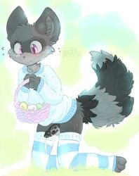 anthro balls birdpawss blush cum dripping easter furry girly holidays leggings legwear male male_only mammal pants paws penis raccoon shy solo steam stockings sweater what