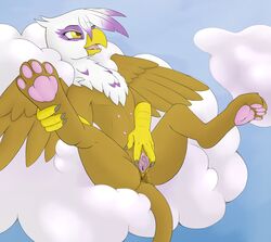 2015 anthro anthrofied avian beak clitoris cloud evilymasterful female friendship_is_magic gilda_(mlp) gryphon lying my_little_pony on_back on_cloud outside paws pussy pussy_juice solo spread_legs spreading tongue