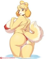 1girls animal_crossing animal_ears animal_tail anthro areolae areolae_slip ass back back_view backboob big_ass big_breasts bikini bikini_bottom bikini_top bottomwear breasts brown_eyes female female_only hair_ornament huge_breasts isabelle_(animal_crossing) large_breasts looking_back micro_bikini nintendo rainven red_bikini solo solo_female swimwear tail thighs topwear wet wet_body