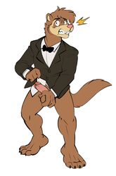 ball_fondling balls blush bottomless bow_tie butler clothed clothing embarrassed erection ferret half-dressed male male_only mammal masturbation mustelid penis solo surprised tuxedo vasuki white_background