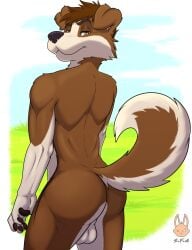 anthro ass balls border_collie canid canine canis ched_wild collie domestic_dog genitals herding_dog hi_res male mammal nude pastoral_dog presenting sheepdog shinyfoxguy solo tail