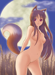 1girls bad_vulva breasts brown_hair completely_nude completely_nude_female female holo long_hair nipples nude nude_female nudist outdoors outside pussy red_eyes small_breasts solo spice_and_wolf tail uncensored wolf_ears wolf_tail yappy