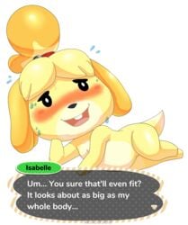 1girls alpha_channel animal_crossing anthro black_nose blush canine chibi female female_focus fur hi_res isabelle_(animal_crossing) keno9988 lying mammal nervous nintendo nude png pussy shih_tzu signature simple_background slightly_chubby smile solo sweat tail text transparent_background video_games white_fur yellow_fur