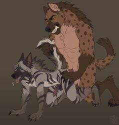 2d all_fours anal anal_sex anatomically_correct anatomically_correct_genitalia anatomically_correct_penis animal_genitalia animal_penis anthro anthro_on_anthro balls bix_(qibble) bodily_fluids brown_body brown_fur claws clenched_teeth cum cum_inside dripping duo fur genital_fluids genitals grey_body grey_fur half-erect hi_res hyena larger_male leaking_precum male male/male mammal markings muscular muscular_anthro muscular_male nude pecs penetration penile penis precum precum_drip sex simple_background size_difference smaller_penetrated spotted_hyena striped_body striped_fur striped_hyena stripes tail tail_grab teeth tongue tongue_out zalasly