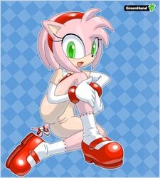 amy_rose anthro anus elbow_gloves exposed_torso female female_only footwear fur furry furry_only gloves green_eyes greenhand handwear hedgehog pussy sega socks solo sonic_(series) straight_hair tagme