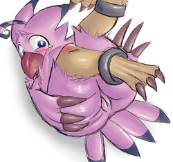 avian bird biyomon digimon furry furry_only l1zardman on_back pink_fur tagme