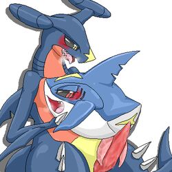 blush diphallia diphallism dragon furry garchomp gay hemipenes male multi_penis nintendo no_humans penis pokemon pokemon_(species) shark sharpedo