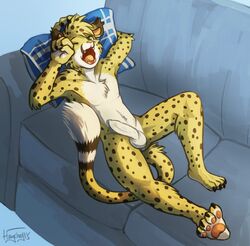 1boy anthro balls cheetah feline haychel male male_only mammal penis salmy sofa solo uncut