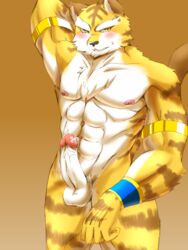 abs anthro areola balls blush cum feline fur hitsuzi_taro11 looking_at_viewer male male_only mammal muscles nipples penis plain_background standing sweat tears teeth tiger white_fur yellow_eyes yellow_fur