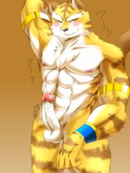 abs anthro areola balls blush cum cum_on_face feline fur hitsuzi_taro11 male male_only mammal muscles nipples penis plain_background standing tears teeth tiger white_fur yellow_fur