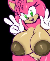 amy rose from sega by stormkinght