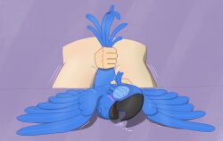 blu (rio) from blue sky studios