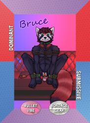 1boy 2015 anthro balls bondage bound bullet_vibe catwolf collar cuffs fur fur_pile hair male male_only mammal nipples nude penis red_panda rope sex_toy sofa solo vibrator