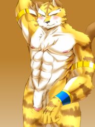 abs anthro areola balls blush feline fur hitsuzi_taro11 looking_at_viewer male male_only mammal muscles nipples penis plain_background standing sweat teeth tiger white_fur yellow_eyes yellow_fur