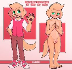 2024 absurd_res anthro balls blush bnbigus bottomwear canid canine canis clothed clothing domestic_dog embarrassed english_text feet femboy flaccid footwear foreskin genitals gesture green_eyes hi_res humanoid_genitalia humanoid_penis male mammal maximilian_butterscotch_(bnbigus) model_sheet nude open_mouth open_smile paws penis pink_background shoes shy simple_background smile sneakers solo tail text waving