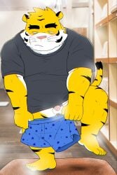 2026 anthro balls blush clothing felid flaccid genitals hi_res kemono male mammal micropenis musk pantherine penis shibatanukiti shirt slightly_chubby small_penis solo tiger topwear underwear white_body yellow_body
