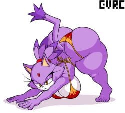 1girls anthro ass bbw big_ass big_breasts big_butt big_thighs blaze_the_cat cat cat_ears cat_tail catgirl evrc feline feline_humanoid female female_only furry furry_female furry_only huge_ass huge_breasts huge_butt shortstack softcore solo solo_female sonic_(series) sonic_the_hedgehog_(series) tagme thicc thick thick_ass thick_hips thick_legs thick_thighs thighs