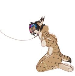 ball_gag blue_eyes bondage bondage bound breasts bukkake collar cum cum_in_hair cum_on_breasts cum_on_face cum_on_leg faydra feline gag hair kneeling leash lynx mammal messy multicolored_hair muzzle_(object) muzzled neoshark rope