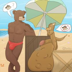 1:1 anthro ball_bulge beach bear bodily_fluids clothing cock_vore duo genital_fluids genitals karamel_kobold karamelkobold kobold leaking_precum male male/male mammal penile penis pictographics precum safe_vore scalie speedo swimwear vore
