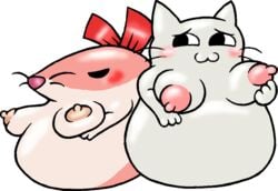 2015 2girls blush bow breasts comparison feline female female_only hamster kirby_(series) kirby_dreamland_3 mammal milktimeforme multiple_girls nintendo nipples pick pick_(kirby) rodent shiro shiro_(kirby) size_difference video_games whiskers