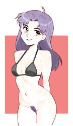 katsuragi misato from neon genesis evangelion