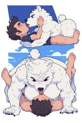 licking female_on_top girl_on_top polar_bear bear bear_girl human_male anthro amazon_position