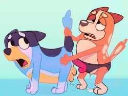 2021 4:3 absurd_res all_fours anal anal_orgasm anal_penetration anthro australian_cattle_dog balls bandit_heeler bedroom_eyes bent_legs blue_body blue_fur bluey_(series) bodily_fluids butt butt_grab canid canine canis cattledog chilli_heeler cross-eyed cum cum_drip cum_pool cum_while_penetrated cumshot dildo domestic_dog dripping ears_back ejaculation erection female female_penetrating female_penetrating_male fur furrowed_eyebrows genital_fluids genitals hand_on_butt hands-free herding_dog hi_res largedrat looking_at_another male male/female male_penetrated mammal narrowed_eyes object_in_ass open_mouth orange_body orange_fur orgasm orgasm_face pastoral_dog pegging penetration pink_dildo pivoted_ears seductive sex sex_toy sex_toy_in_ass sex_toy_insertion simple_background spots strapon tail tail_pull teeth tongue toony toying_partner vaginal_fluids vulva yellow_body yellow_fur