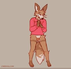 2024 2d_animation animated anthro balls biped bottomless bottomless_anthro bottomless_male brown_body brown_fur canid canine canis cantio_(lawyerdog) closed_eyes clothed clothing coyote cute_fangs dancing digital_media_(artwork) fangs flaccid full-length_portrait fur genitals humanoid_genitalia humanoid_penis lawyerdog loop male male_anthro male_only mammal monotone_background multicolored_body multicolored_fur penis portrait smile solo standing tan_body tan_fur teeth white_balls