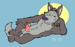 1boy 2015 3_toes 4_fingers anthro balls canine chip_the_wolf cookie_crisp erection grey_fur humanoid_penis krunchycroc looking_at_viewer male male_only mammal nude penis purple_nose solo wolf