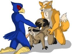 3boys all_fours alpha_channel anal anal_sex anthro ass avian balls barefoot bird blush canine claws closed_eyes crossover cum cum_in_ass cum_in_mouth cum_inside cum_on_ass cum_on_face cum_on_tongue dontbeazombie erection falco_lombardi falcon feathers fox fox_mccloud from_behind fur gay guardians_of_the_galaxy half-closed_eyes hand_on_head male male_only mammal marvel nintendo nude open_mouth oral orgasm penetration penis plain_background raccoon rocket_raccoon sex sharp_claws sharp_teeth sitting size_difference smile star_fox teeth toe_claws tongue transparent_background whiskers yaoi