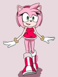 amy_rose panties sonic_(series) upskirt upskirt_view