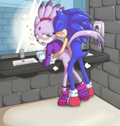 anthro bathroom bent_over blaze_the_cat blush bottomwear bottomwear_down breath clothed clothing domestic_cat duo eulipotyphlan felid feline felis female from_behind_position hedgehog hi_res humanoid male male/female mammal panties panties_down panting pants pants_down partially_clothed sega sex smile sonic_(series) sonic_the_hedgehog sonic_the_hedgehog_(series) stomach_bulge th0ttermatic underwear underwear_down