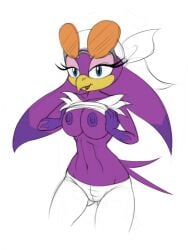 anthro areola avian beak big_breasts bird breasts erect_nipples eyewear eyewear_on_head female hi_res hirundinid nipples non-mammal_breasts non-mammal_nipples oscine passerine scificat sega solo sonic_(series) sonic_riders sonic_the_hedgehog_(series) sunglasses swallow_(bird) third-party_edit wave_the_swallow