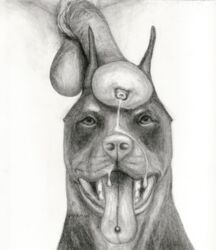 ambiguous_gender animal_genitalia balls canine canine cum cum_on_face darkmare disembodied_penis doberman duo feral flared_penis greyscale horsecock interspecies male mammal monochrome open_mouth pencil_(artwork) penis penis_on_head piercing solo_focus tongue tongue_out tongue_piercing tongue_stud traditional_media_(artwork)