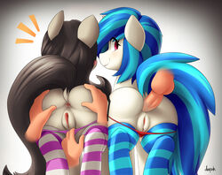 2015 absurd_res anal anal_sex anus ass balls black_hair blue_hair clothing color cutie_mark derpah disembodied_hand disembodied_penis dock duo_focus earth_pony equine female feral friendship_is_magic fur grey_fur group hair hand_on_ass highres horse human human_on_feral interspecies legwear looking_back male mammal my_little_pony octavia_melody panties panties_down panty_pull penetration penis pony pussy rear_view sex smile spread_ass spreading straight striped striped_legwear tail thigh_highs underwear vinyl_scratch_(mlp) white_fur zoophilia