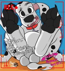 101_dalmatian_street 101_dalmatians animal_genitalia animal_penis black_pawpads black_spots canid canine canine_genitalia canine_penis canis claws covering covering_crotch covering_self dalmatian destiny_(101_dalmatians) disney domestic_dog dylan_(101_dalmatians) exhibitionism feet feral foot_fetish foot_focus fully_sheathed fur genitals hi_res knot_in_sheath looking_at_viewer male mammal multiple_character offscreen_character pawpads paws pawsndogs penis recording sheath solo spots toe_claws triple_d_(101_dalmatians) white_body white_fur