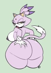 blaze the cat from sega by miobadders