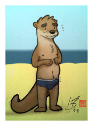 2017 anthro beach blue_briefs blue_clothing blue_underwear briefs brown_body brown_fur clothing colored_seam_underwear embarrassed erection_under_briefs fudatsu fur hair male mammal mustelid nipples otter sea shy solo swimming_in_underwear tail underwear water