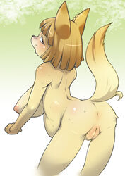 anthro anus backpussy big_breasts blonde_hair breasts brown_eyes canine female fox fur furry hair j7w kemono mammal nipples pregnant pussy short_hair yellow_fur