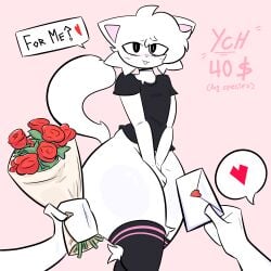 1boy 1femboy 2boys 2male big_legs black_shirt black_socks boykisser cat_boy cat_ears cat_humanoid cat_tail catboy choker cute cute_expression cute_eyes cute_face cute_male feline femboy flower flowers fur furry gift heart heart_symbol in_love legs letter pink_background pov pov_hands pov_male shirt socks talking valentine's_day white_body white_fur white_skin