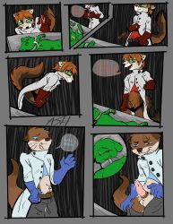 absurd_res accessory anthro bent_over bodily_fluids chains clothed clothing coat cock_ring collar comic dazed dialogue drooling ears_down examination eyewear female genitals glasses gloves group gulonine handwear hi_res jameson jewelry lab_coat laboratory lying male male/female male/male mammal marten mustelid musteline on_back otter otter_tail panties panties_down partially_clothed penis penis_accessory penis_jewelry pine_marten pivoted_ears rain_world restraints saliva saliva_string slit_penis slugcat smile smiling_at_viewer smirk smirking_at_viewer spice spicymustelid taking_off_pants taking_off_shirt topwear trio tuft underwear underwear_down undressing videocult vulva