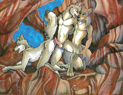 2004 3boys all_fours anthro ass ass_up ayame_emaya canine closed_eyes coyote erection furry furry_only group group_sex looking_back male mammal no_humans nude outside penis presenting presenting_hindquarters sex threesome yaoi