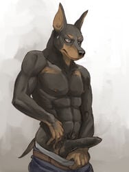 2015 496549736_(artist) abs anthro balls canine clothed clothing doberman erection half-dressed male male_only mammal muscles nipples pants pants_down pecs penis solo topless uncut