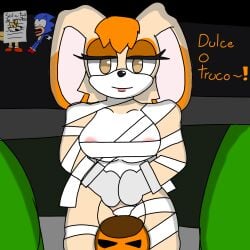 Sonic (Series) Rule 34 Image