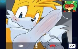 anthro ardidon balls blush canine close-up clothed clothing cum cum_on_penis cum_string erection eyewear fox fur glasses gloves half-dressed hedgehog jacket looking_at_viewer looking_down male male_only mammal multiple_males nude penis scourge_the_hedgehog sega skype smooth_skin sonic_(series) tails teeth