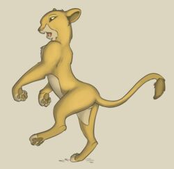 2015 disney feline female female_feral feral lion mammal nala pussy solo the_lion_king tuke