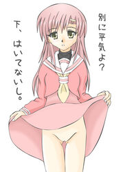 hayate_no_gotoku! hinagiku_katsura pointy_chin skirt_lift tagme